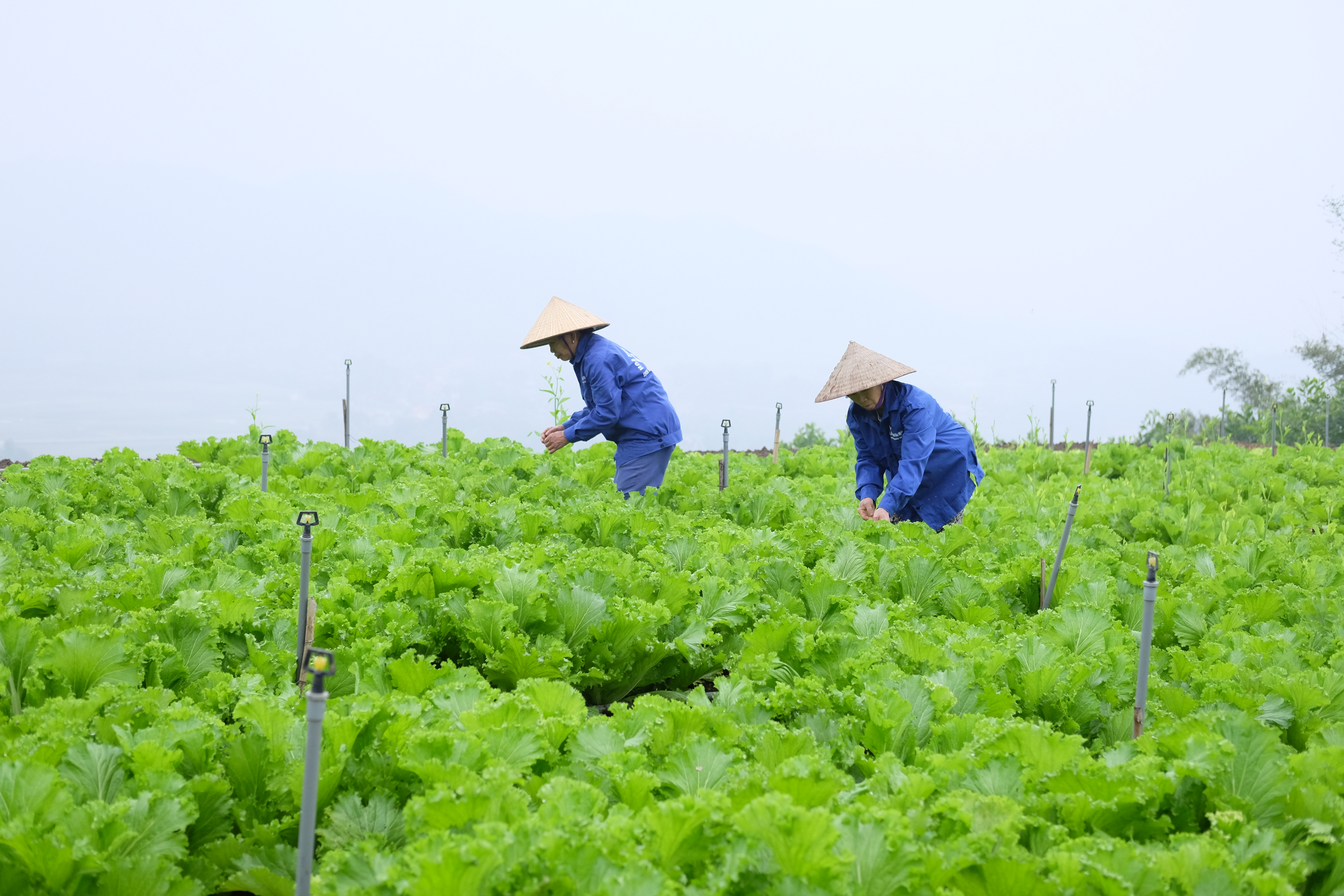 Bài 4: Nhân rộng mô hình, điển hình học Bác (Tiếp theo và hết)